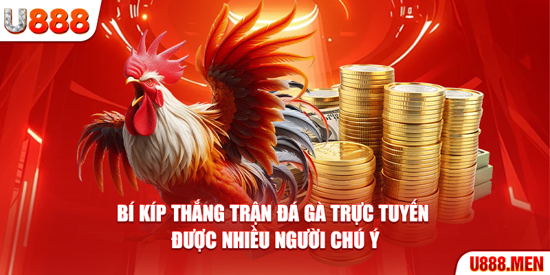 Bí kíp thắng trận đá gà trực tuyến được nhiều người chú ý