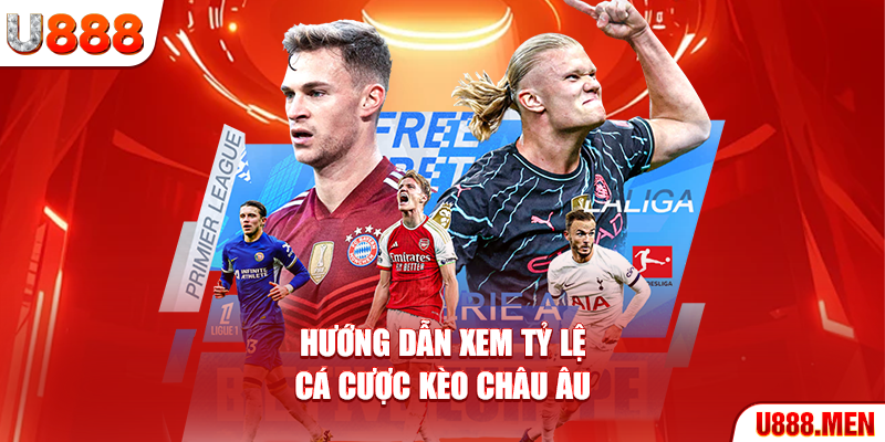 Thông Tin Cơ Bản Về Các Loại Kèo Bóng Đá Phổ Biến Nhất Hiện Nay Hướng dẫn xem tỷ lệ cá cược kèo châu Âu