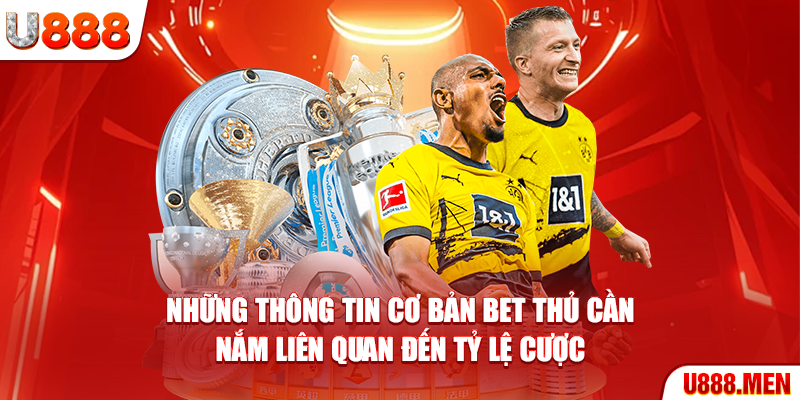 Thông Tin Cơ Bản Về Các Loại Kèo Bóng Đá Phổ Biến Nhất Hiện Nay Những thông tin cơ bản bet thủ cần nắm liên quan đến tỷ lệ cược