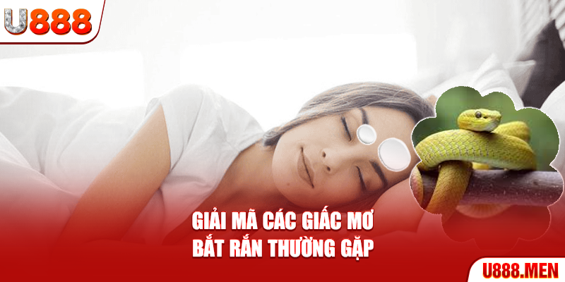 Giải mã các giấc mơ bắt rắn thường gặp