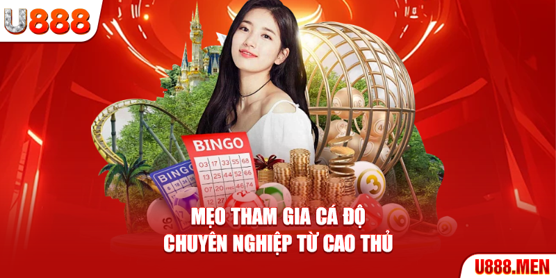 Mẹo tham gia cá độ chuyên nghiệp từ cao thủ