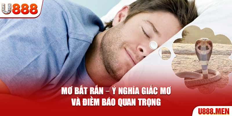 Hình ảnh con rắn và ý nghĩa của nó trong phong thủy